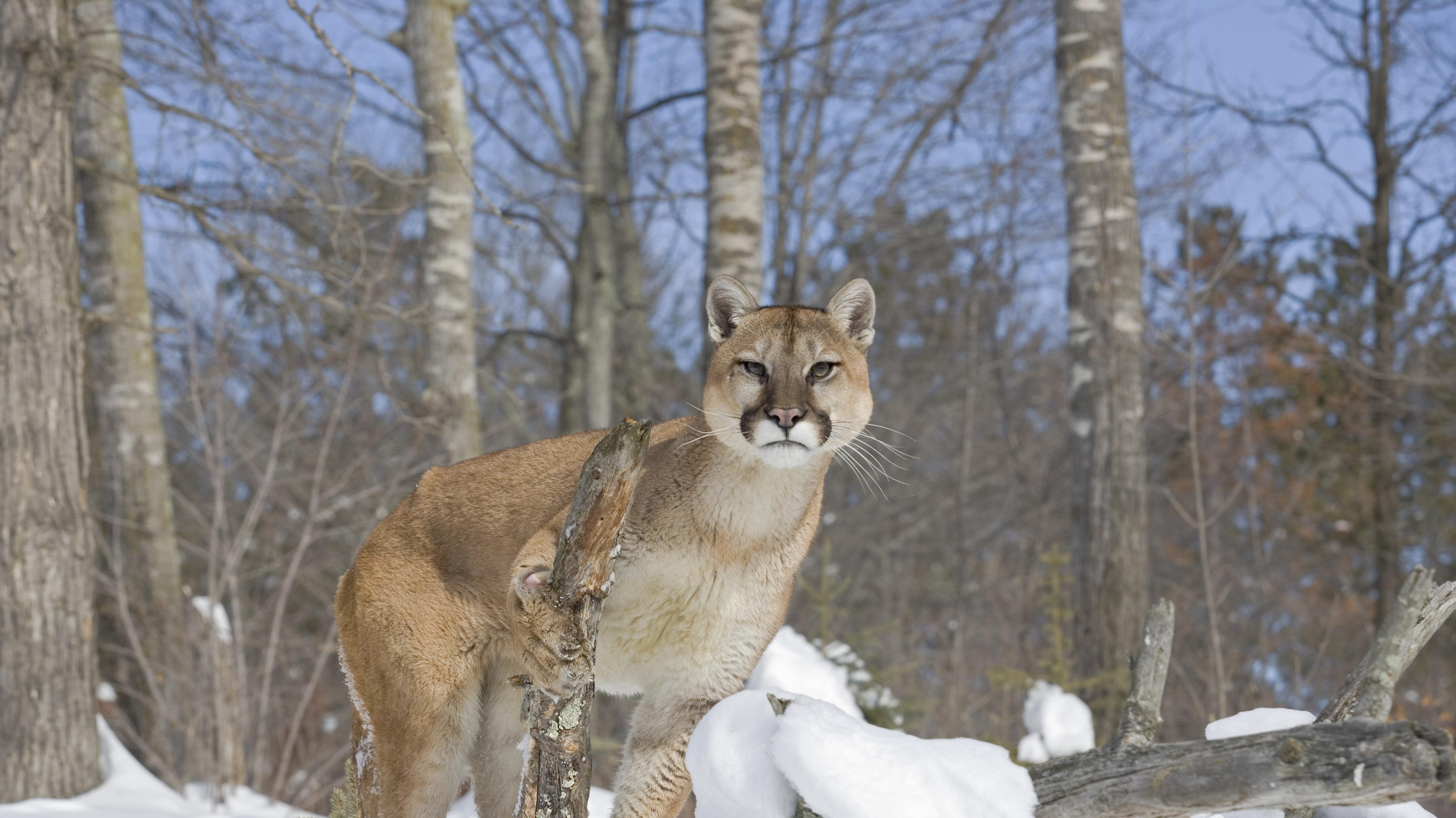 当传统盟友开始找退路，该看风暴还是洋流？