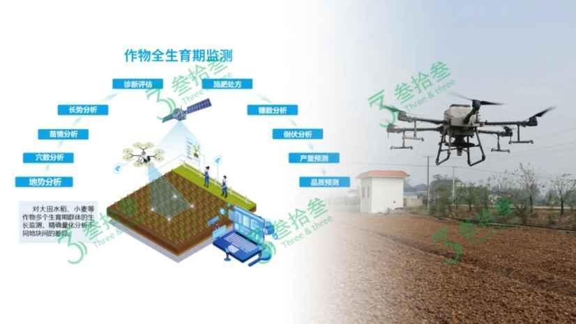 农业 AI 大模型在蓝莓种植中的土壤酸化管控与精准施肥系统