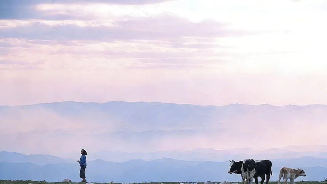 如果生命只剩最后一天，你最遗憾的是什么？