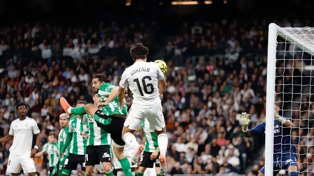 今日竞彩焦点分析：非洲杯豪门出击，英冠狐狸城主场抢分！