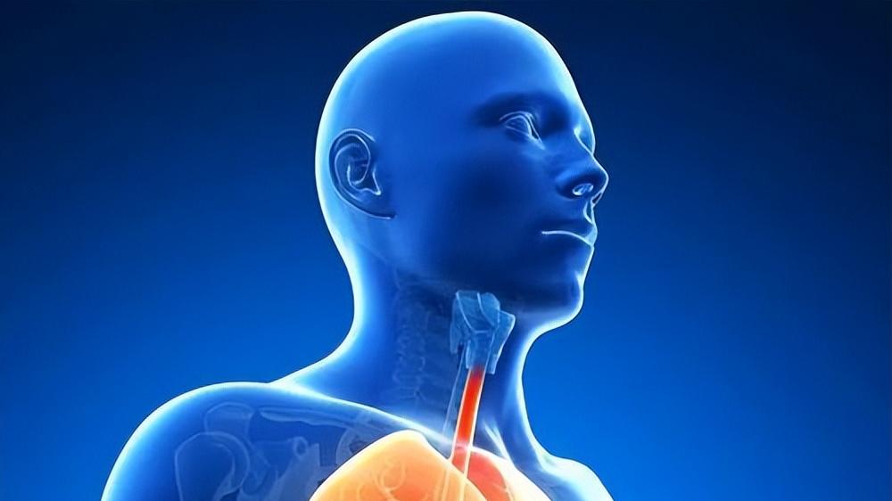 体检报告查出肺结节？别紧张，90%是良性的，做好3个筛查是关键