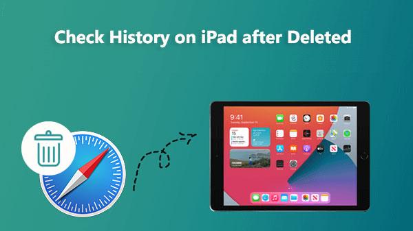 如何在有/无备份的情况下检查 iPad 删除后的历史记录？