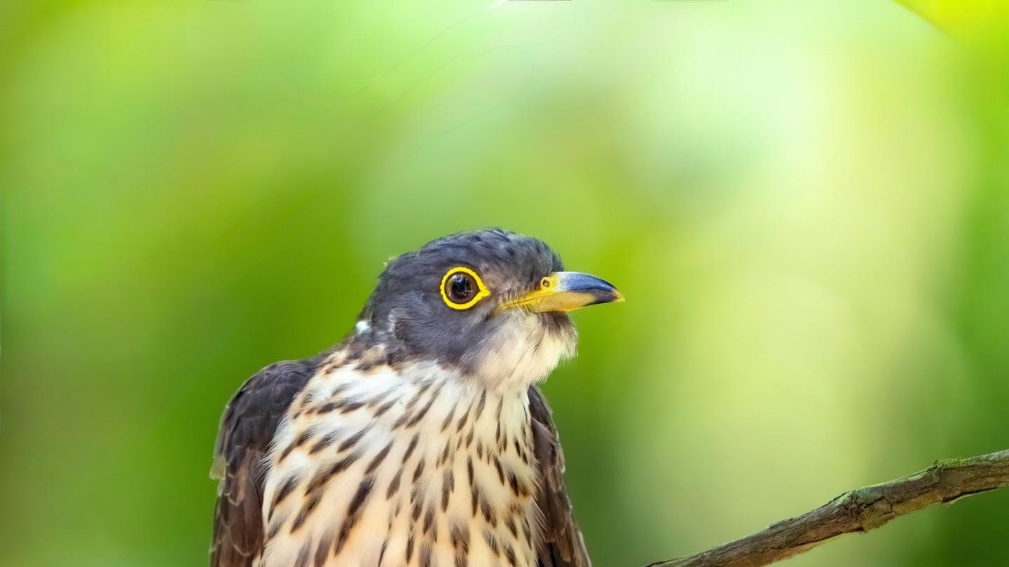 十件让你更受尊重的简单小事