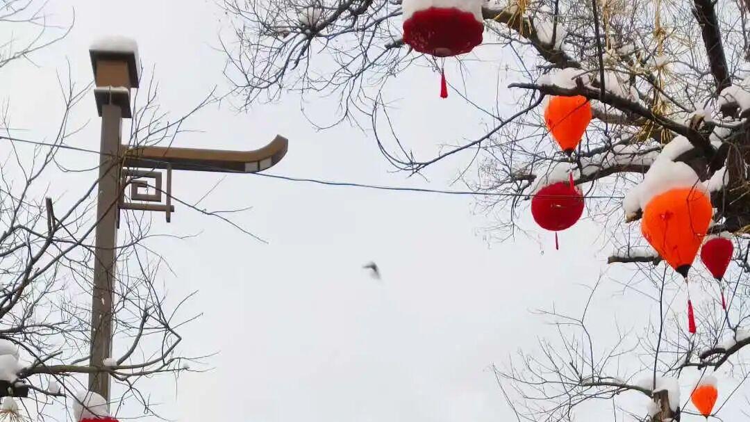 十笔交易，新开仓