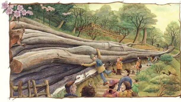 每天分享 3 本治愈绘本，让童年时光更有温暖感～