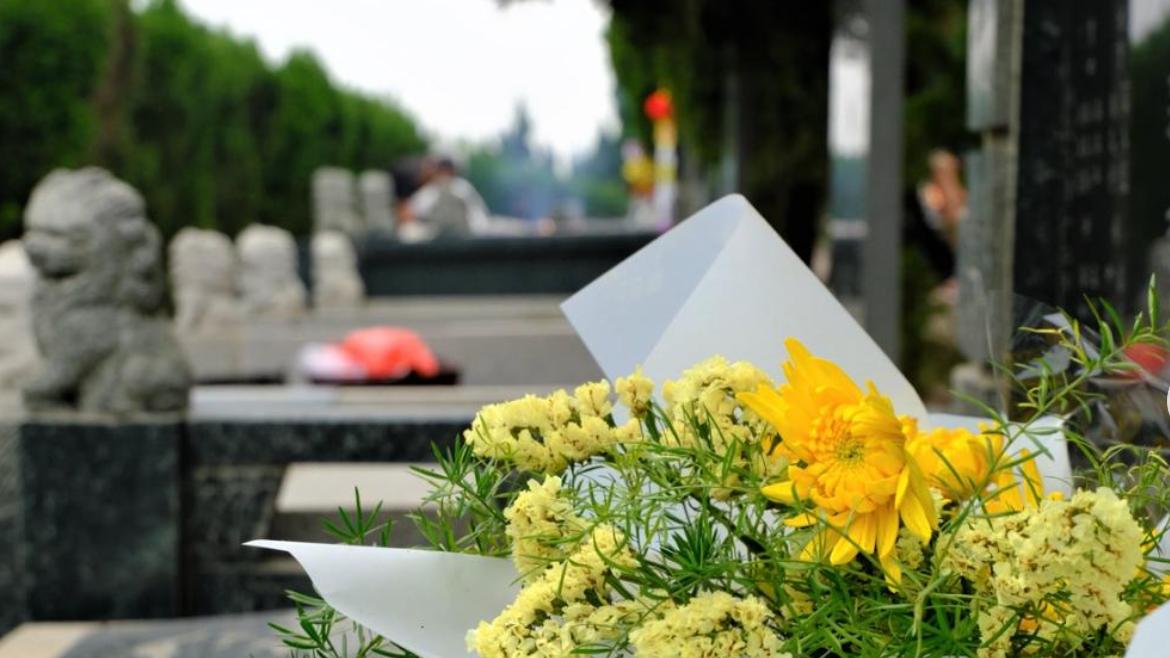 清明将至，多地发布通知：野外一律禁火！上坟禁烧纸钱禁放鞭炮！