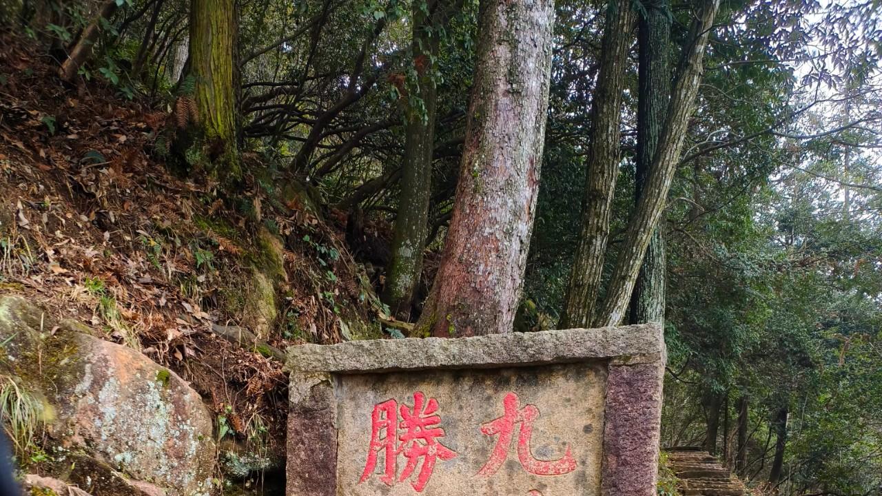 莲花笔话：九华山核心景点与寺庙一句话介绍
