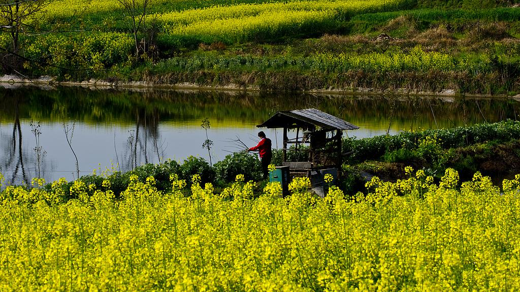 “建议彩礼金额不超过 6 万元”，冲上热搜第一，有可能落实吗？