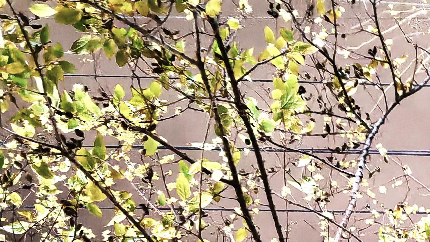 职场遇混子，咋整？