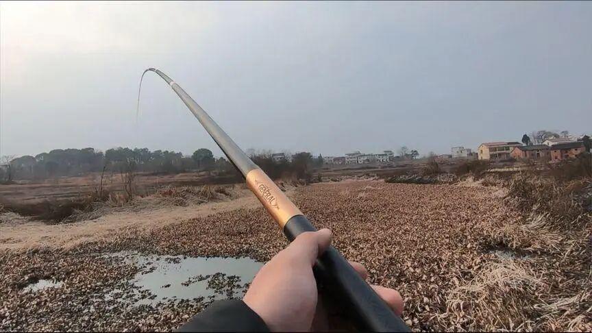 同样的二两鱼，凭啥能溜十分钟？原来是这套“影帝配置”在作弊！