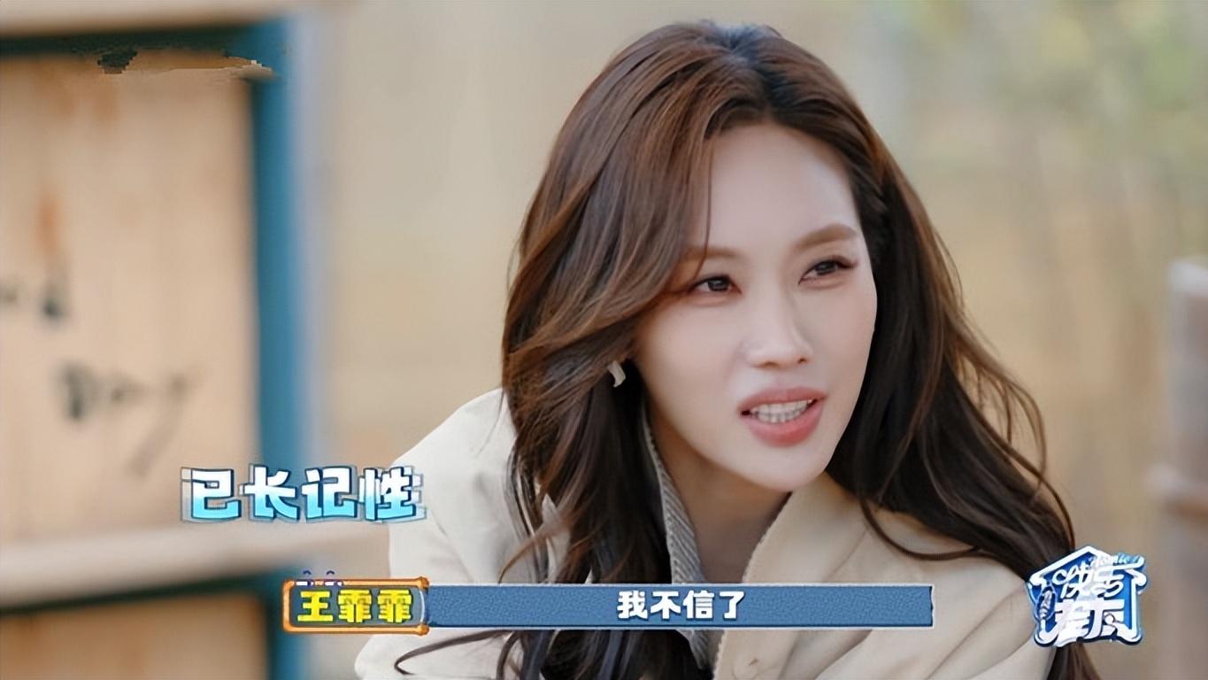 王霏霏对苏醒陷信任危机？沈梦辰一句话精准总结苏醒为啥不能信