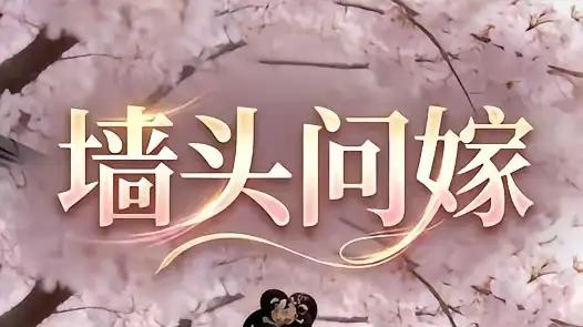 《墙头问嫁》甜宠奇缘与反转惊喜齐飞（29集）