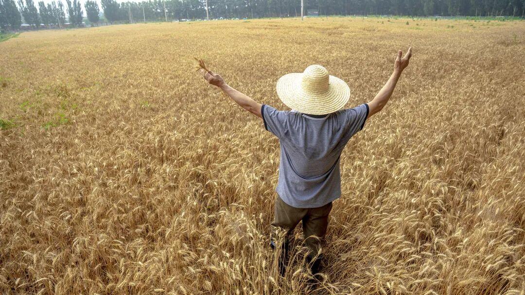 瞧不起河南的底层逻辑