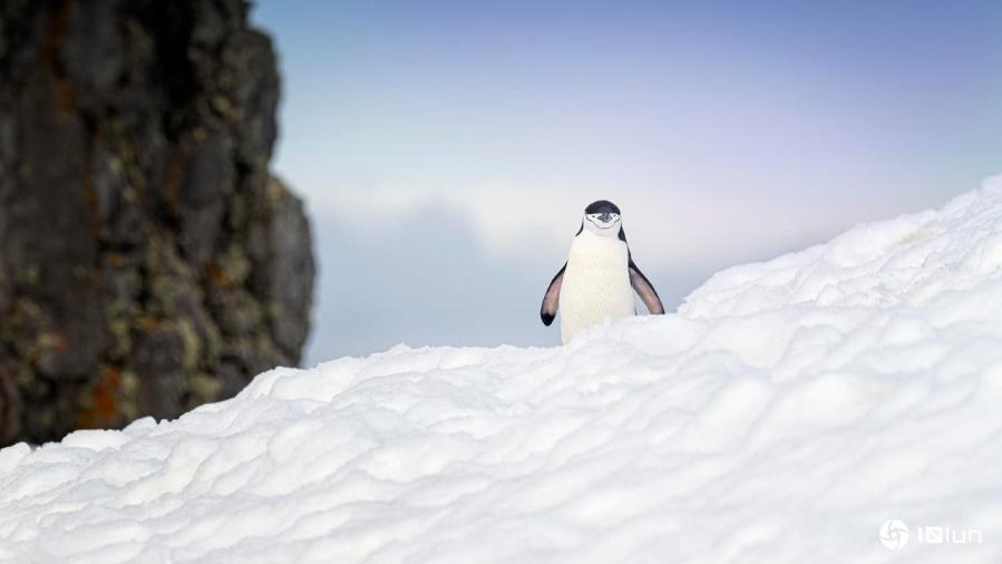 用Omega Linux让旧电脑焕发活力，性能远超Ubuntu