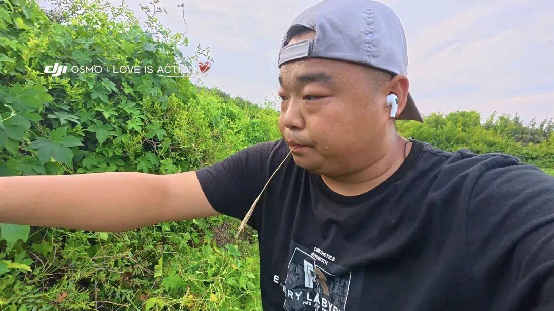 故乡篇章：端午假期下地劳作记