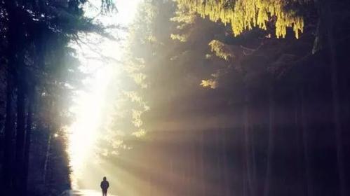 赵富忠新作《从亲友的葬礼回来》，诗歌特点赏析！