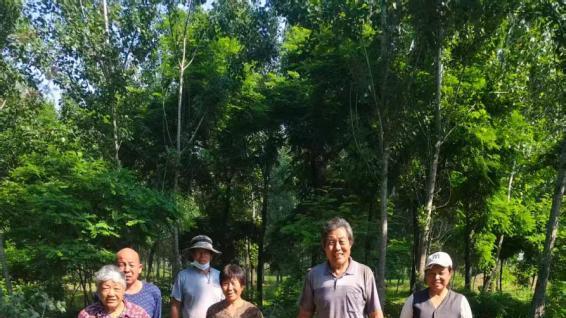 滦州古马镇铁路危树处置引纠纷 补偿款到位三年村民未获赔付