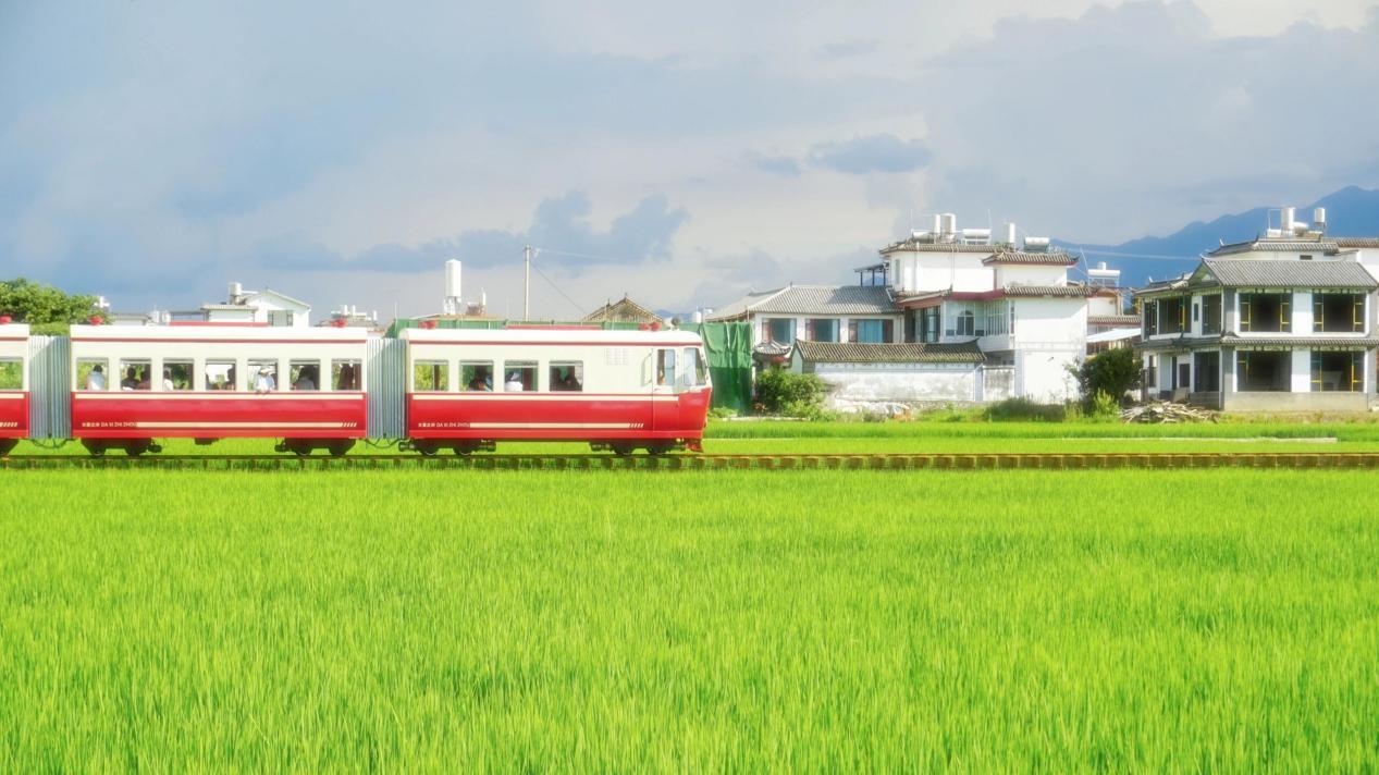 云南旅行社深度测评：2026年最新排名+选社指南，看完再报团！