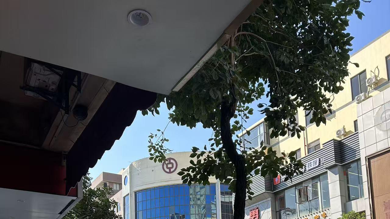 工作的本质就是谋生，别让工作搞到你精神内耗