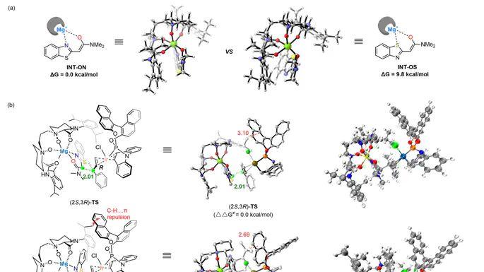 手性化合物基础：核心概念、构象分析与CIP规则