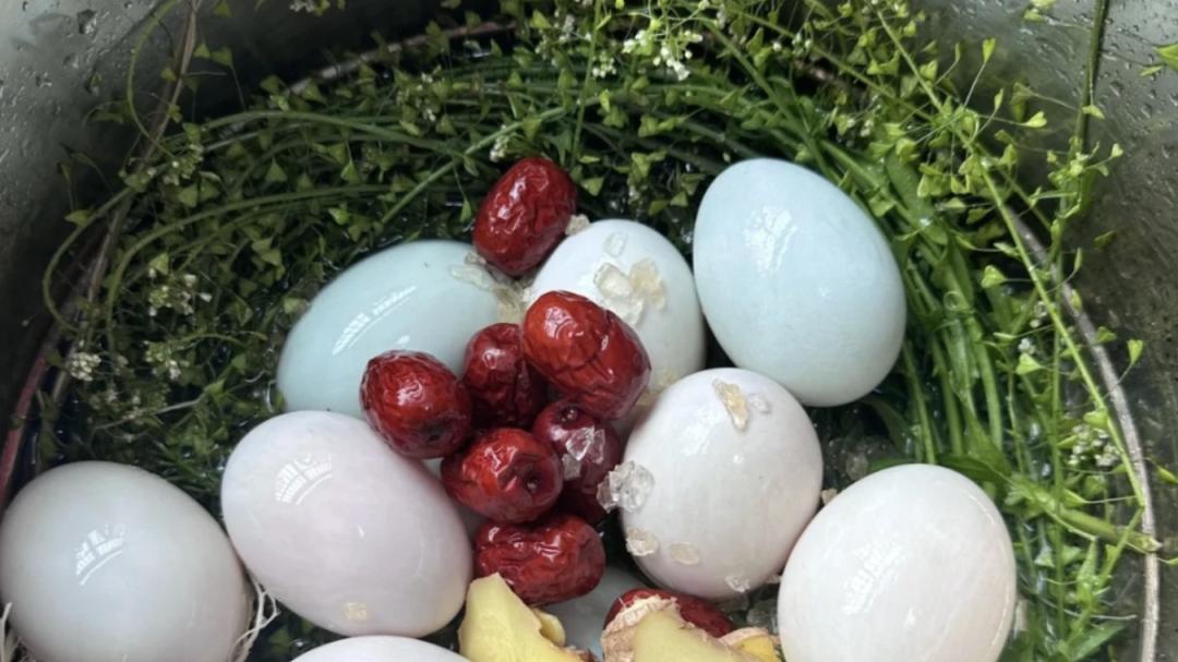 九江文史 | 九江清明文化漫谈