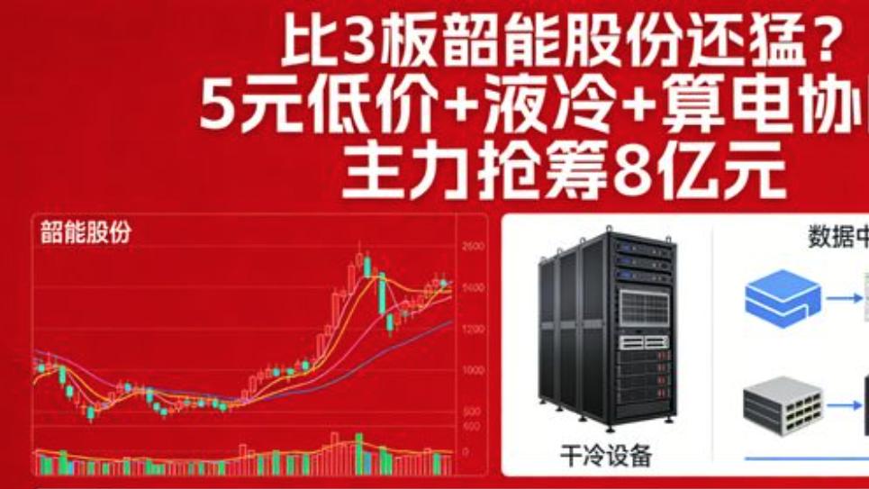 比2板韶能股份还猛？5元低价+液冷+算电协同  主力抢筹8亿元
