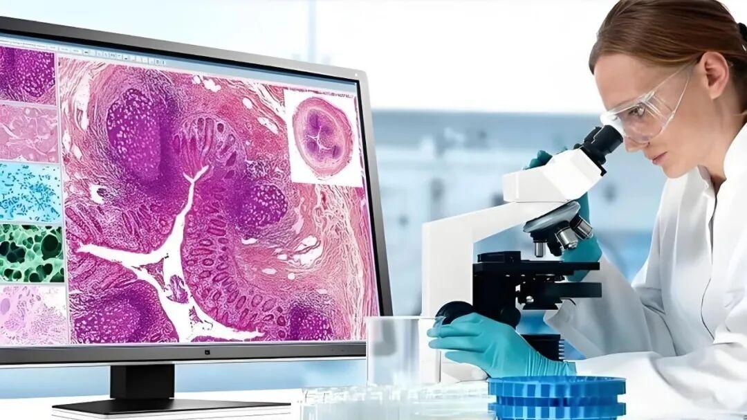 “一秒千片”背后的存储革命：CSP格式如何激活病理数据价值