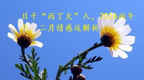 日干“丙丁火”人，2026丙午年，二月情感运解析