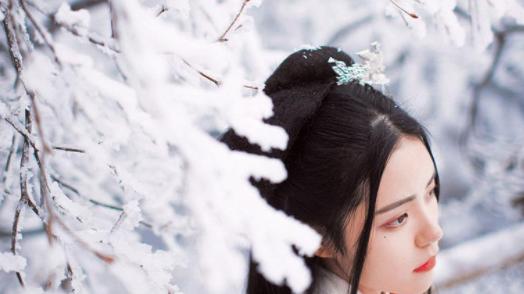 汪缘堂谈三命通会中的朱雀乘风格