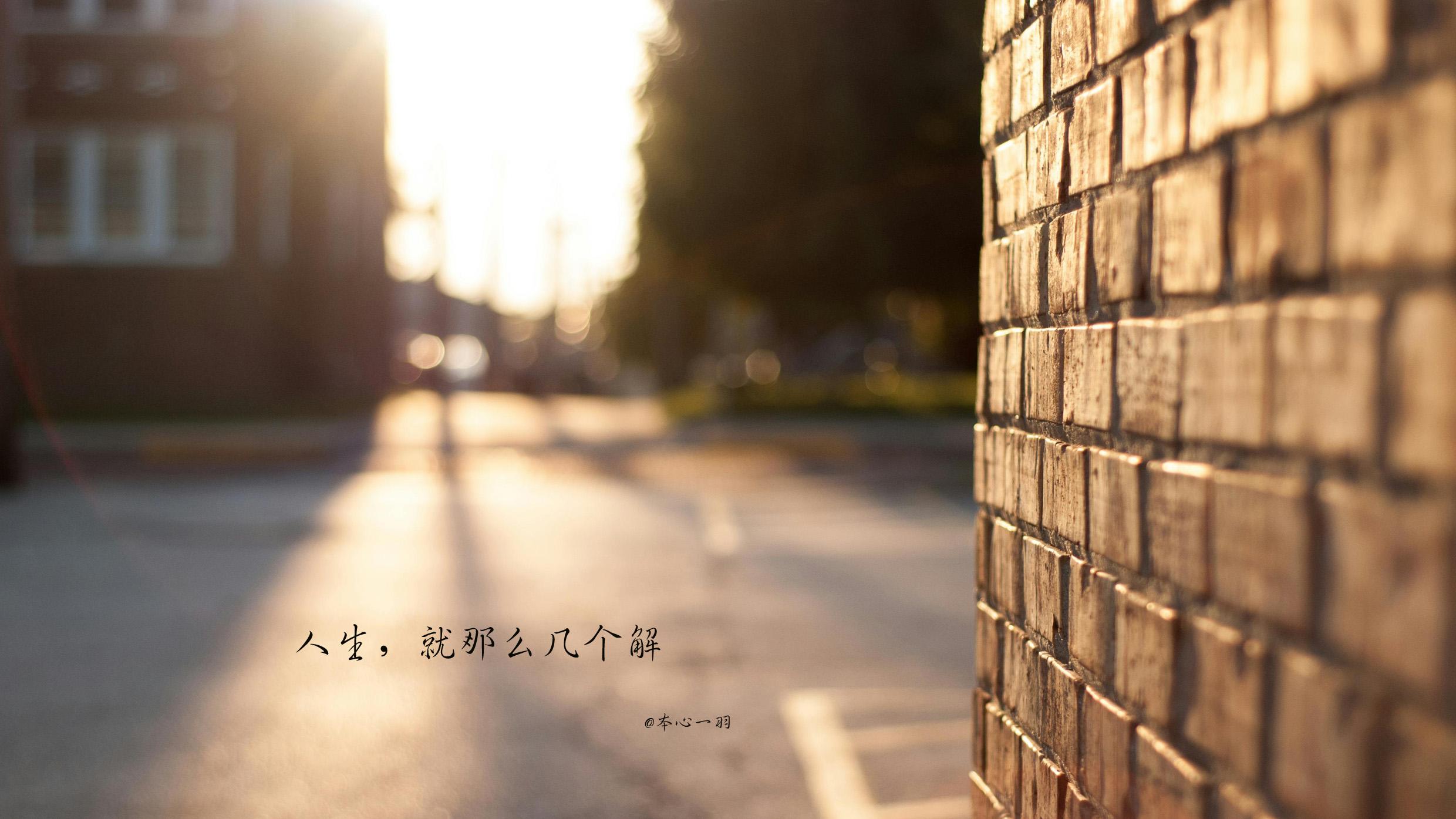 道理，像那墙头的草，西风来，它往东倒，北风来，它往南倒