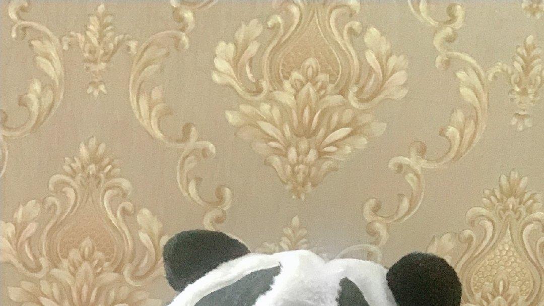 陈奕天贵公子穿雕