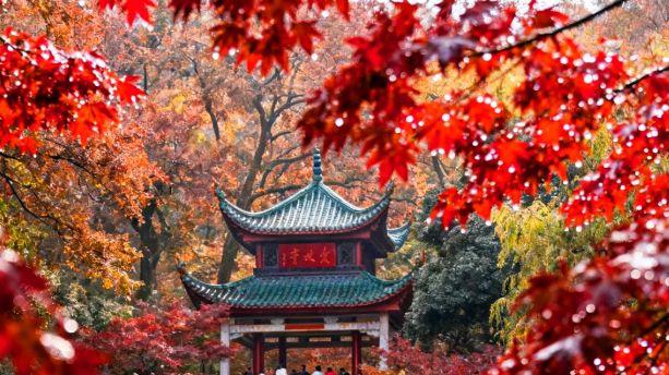 岳麓山秋日登高，在爱晚亭的红叶里读半部近代史