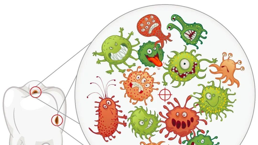 饭后立刻刷牙可能伤牙？听听牙医怎么说