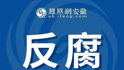安徽省纪委监委通报！