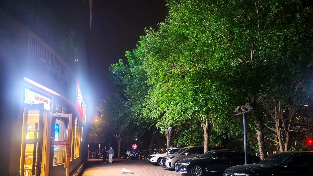 感悟笔话：夜游月桂树，追忆锦观府