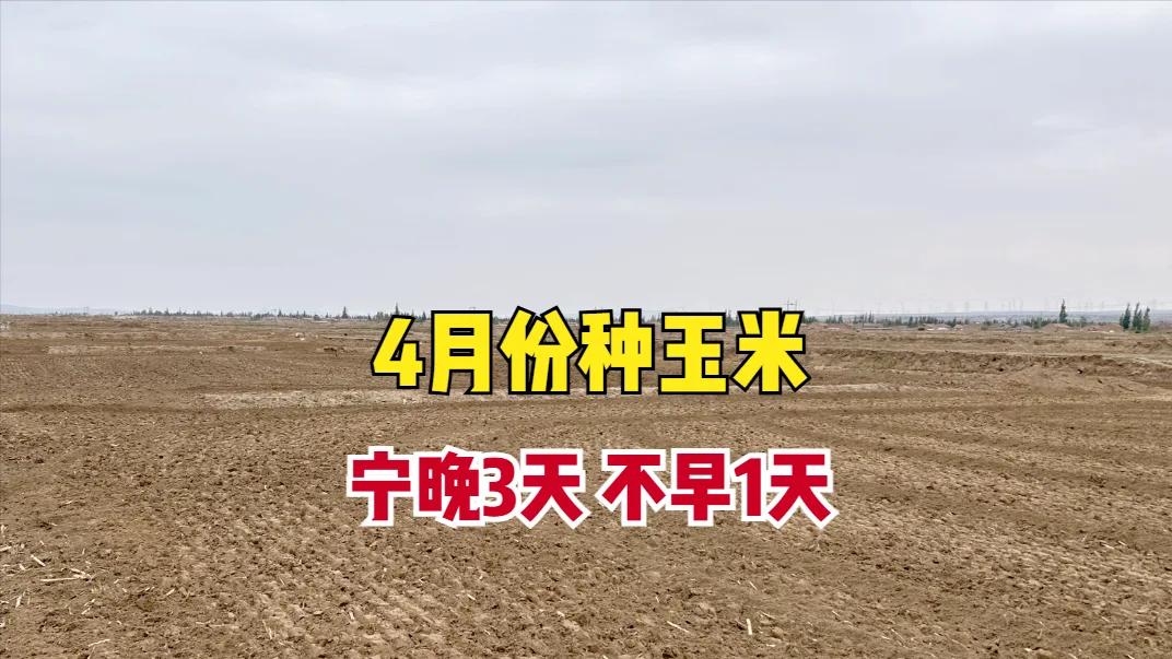 “宁晚3天，不早1天”，4月份播种春玉米，这个条件不满足，白费一二百元