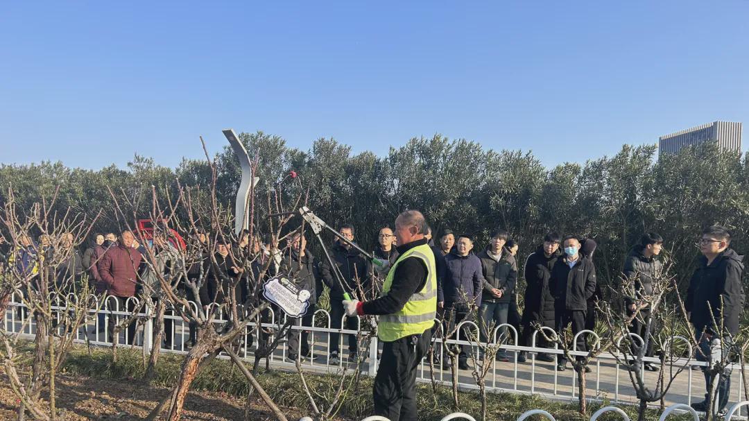 信阳园林：以训赋能精养护 冬护绿植保生机