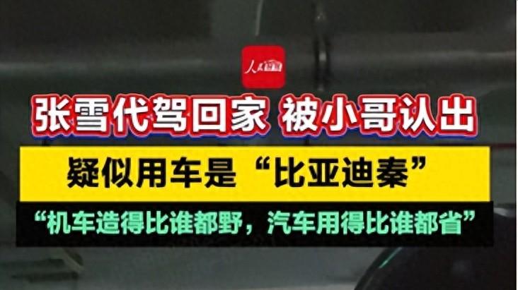 从赛道双冠王到秦L车主：张雪的“野”与“省”，是同一种技术自信