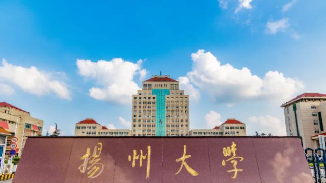 扎根田野，名师赋能：江苏物理类580-600分段扬大“产业师资”优势解析