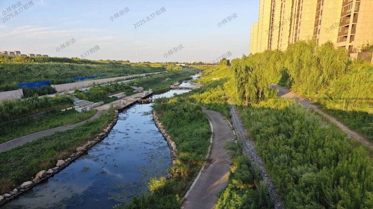 沈抚白沙岛重大利好，即将新建三个公园