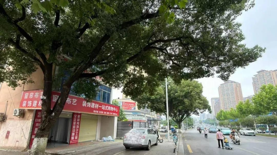 一张“空气许可证”办下房产证，长沙多部门监管失灵该由谁来管？
