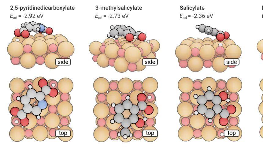 吸附机理入门：什么是物理/化学吸附？用DFT和分子动力学看吸附细节的初学者指南
