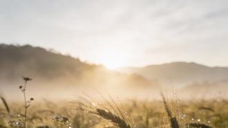 早安，愿你今天被温柔以待