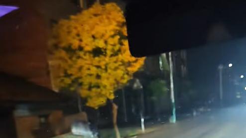 安全为大！极氪、蔚来：行驶状态禁止语音关大灯