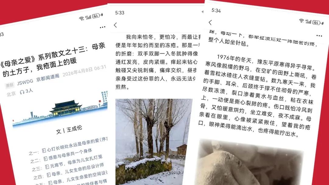 暖愈岁月的偏方，藏着最深的母爱——读王成伦《母亲的土方子，我疮面上的暖》