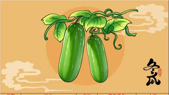 1.19 竞彩推荐分析