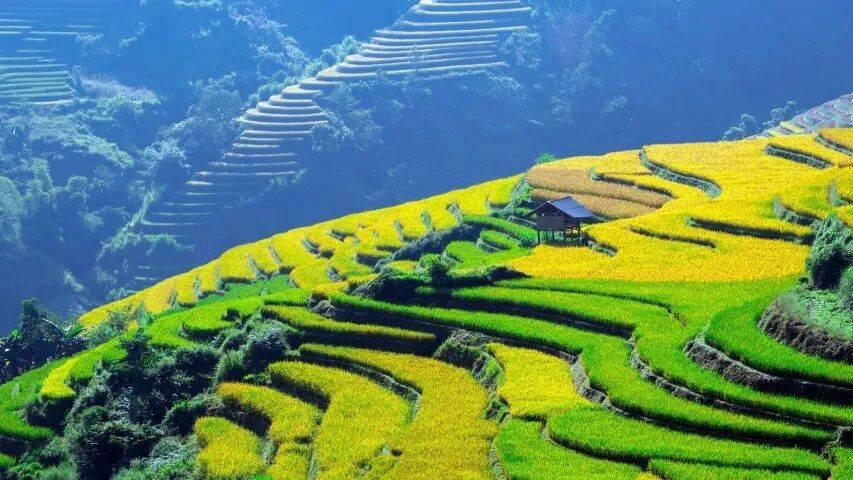 今年3月家电市场必有一场恶战