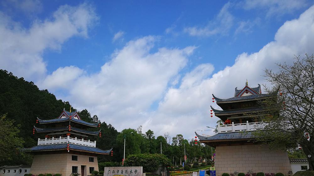 广西中医药大学考研保研情况好不好？2026最新数据全面分析