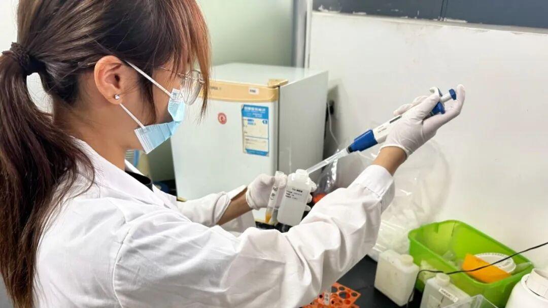 “只卖12天”：一颗鸡蛋背后的供应链重构