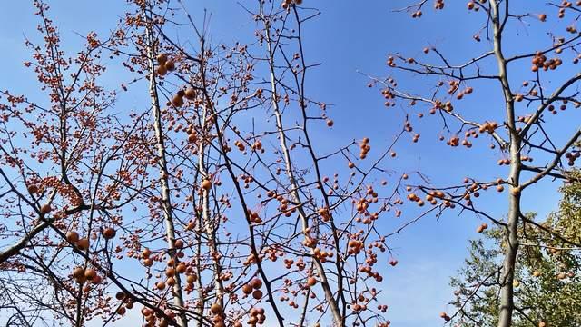 高三家长托举孩子最好方式，是为孩子赋能，熬过疲惫和自我怀疑期